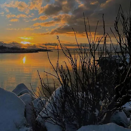 Spectacular Views And Beautiful Surroundings In Lofoten Holiday home *